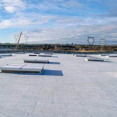 Flat Roof 2